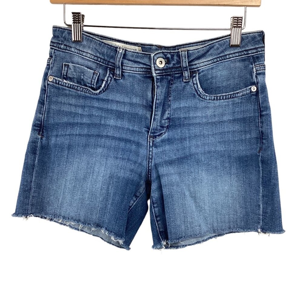 Pilcro And The Letterpress Slim Boyfriend Denim‎ Shorts Size 26 Raw Hem